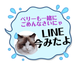 853403535