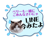 853403535