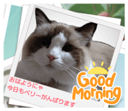 853403537