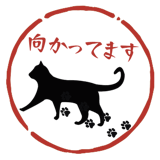 853411947