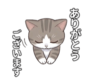 853417407