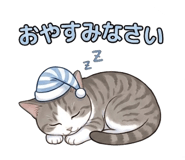 853417431
