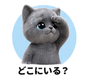 853420904