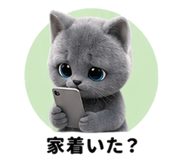 853420906