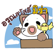 853422993