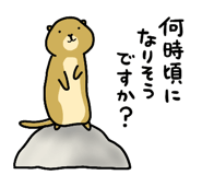 853431425