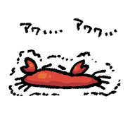853431610