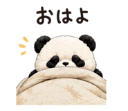 853432417