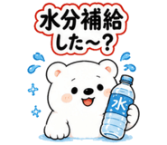 853432649