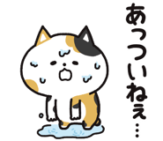 853433001