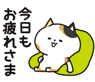 853433007