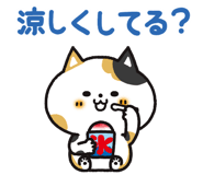 853433009