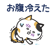 853433013