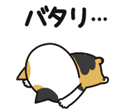 853433014