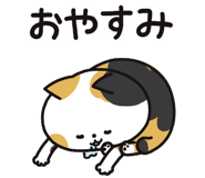 853433021