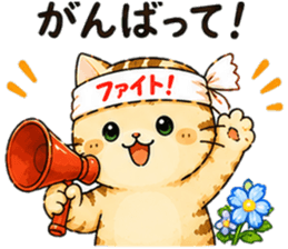 853433348