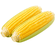 853433723