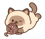 853434165