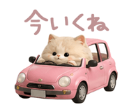 853434194