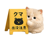 853434215