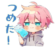 853434427
