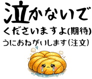 853436323