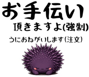 853436325