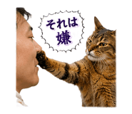 853436607