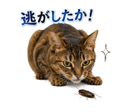 853436611