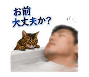 853436615