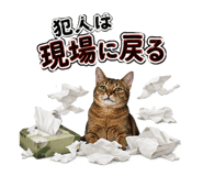 853436630