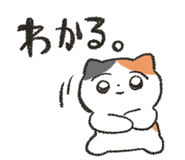853441357