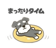 853441429