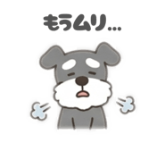 853441455