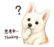 853446141