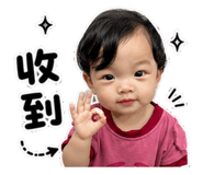 853446675