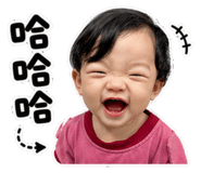 853446684