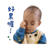853450137