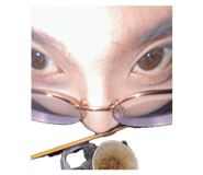 853450816
