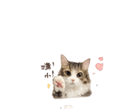 853450865
