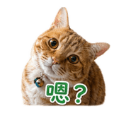 853453601