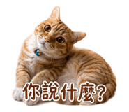 853453605