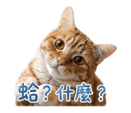 853453607
