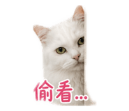 853453609