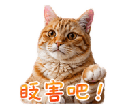 853453616
