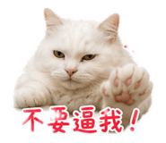 853453617