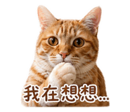 853453620