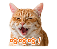 853453621