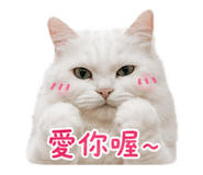853453623