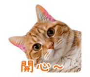 853453624